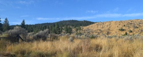 Lac Du Bois Grasslands, Kamloops, BC